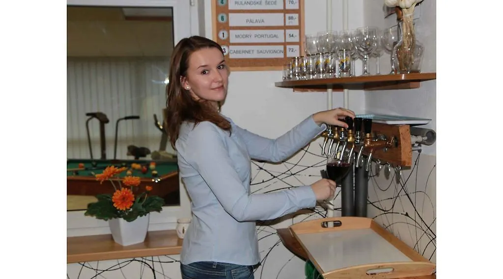 Bed & Breakfast Hostel Brno República Checa
